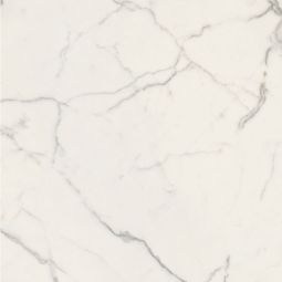 Anima Futura | White 24"x24" Polished - CLEARANCE 