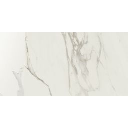 Anima | 12"x 24" Calacatta Oro Glazed Polished