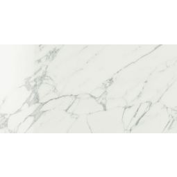 Anima | 12"x 24" Statuario Venato Polished