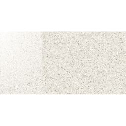 Autore | Trevi 12"x24" Polished - CLEARANCE