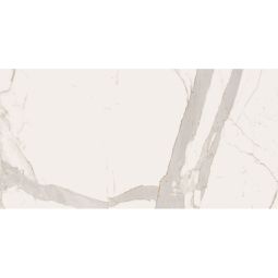 Bianco | 36"x 72" Calacatta Borghini Matte