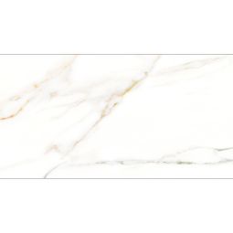 Cava | 24"x 48" Bianco Polished 