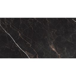 Cava | 24"x 48" Nero Polished