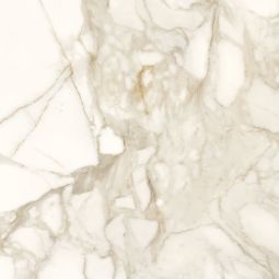 Marble Lab | 24"x 24" Calacatta Dorato Matte