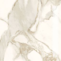 Marble Lab | 24"x 24" Calacatta Dorato Polished