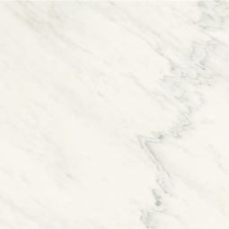 Marble Lab | 24"x 24" Premium White Polished