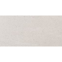 Spartia | 24"x 48" Bianco Matte